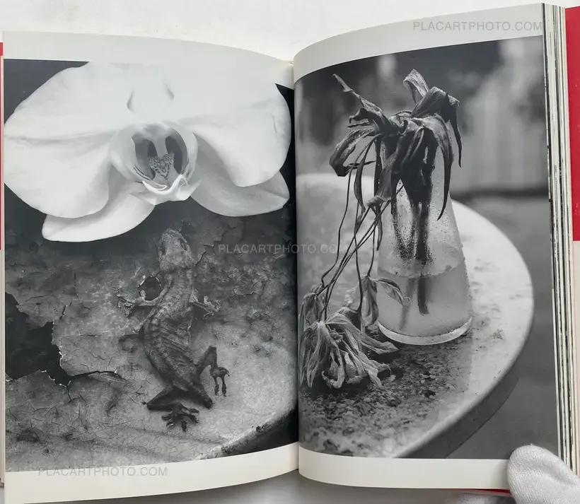 Nobuyoshi Araki – Ai no Balcony (Balcony of Love) (SIGNED WITH OBI)