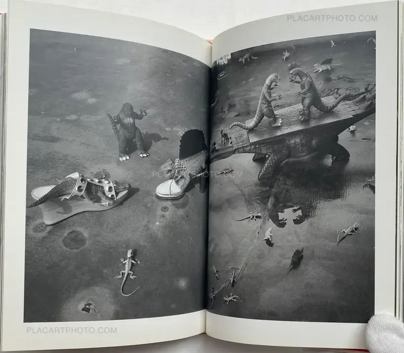 Nobuyoshi Araki – Ai no Balcony (Balcony of Love) (SIGNED WITH OBI)