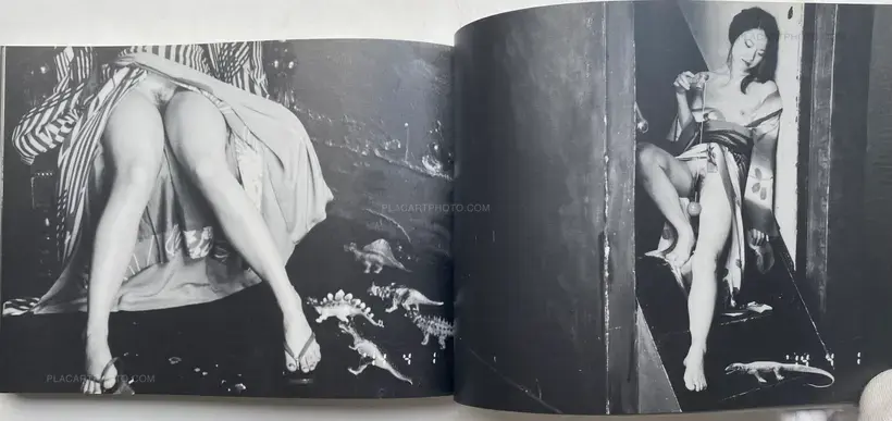 Nobuyoshi Araki – Shakyo Rojin Nikki : Uso (SIGNED)