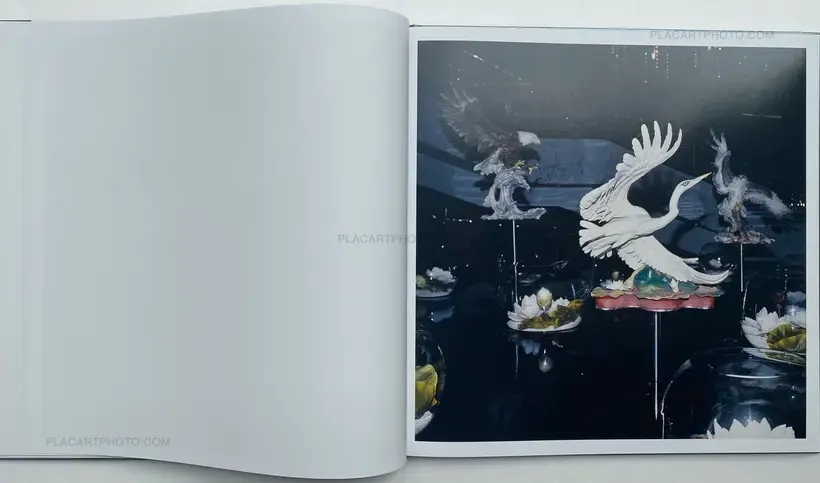 António Júlio Duarte – WHITE NOISE (SIGNED)