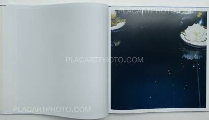 António Júlio Duarte,WHITE NOISE (SIGNED)