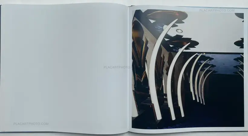 António Júlio Duarte – WHITE NOISE (SIGNED)