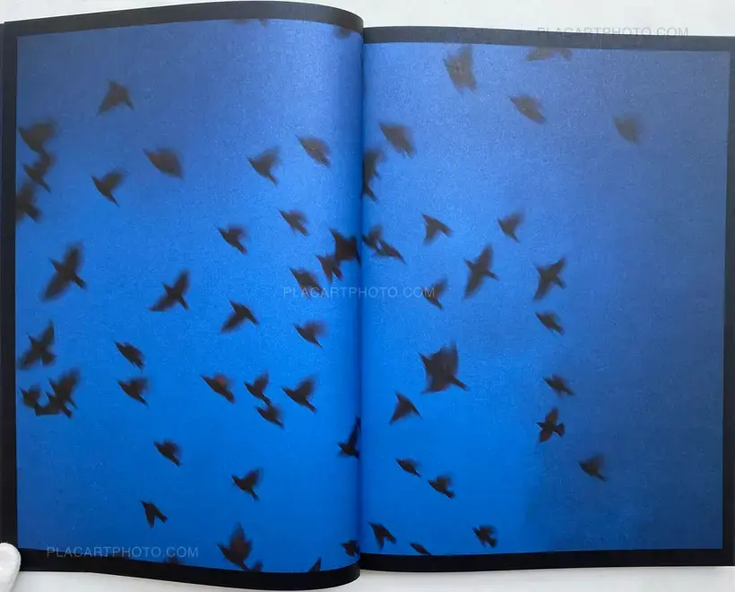 Rinko Kawauchi – HALO (SIGNED)
