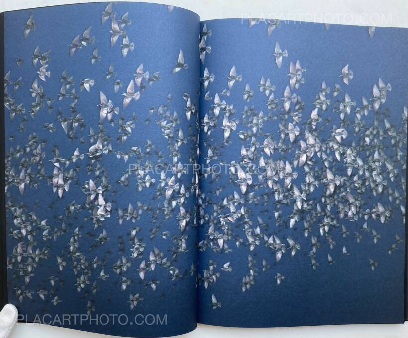 アート・デザイン・音楽 Rinko Kawauchi Halo Rinko Kawauchi: HALO (SIGNED), Éditions Xavier Barral , 2017