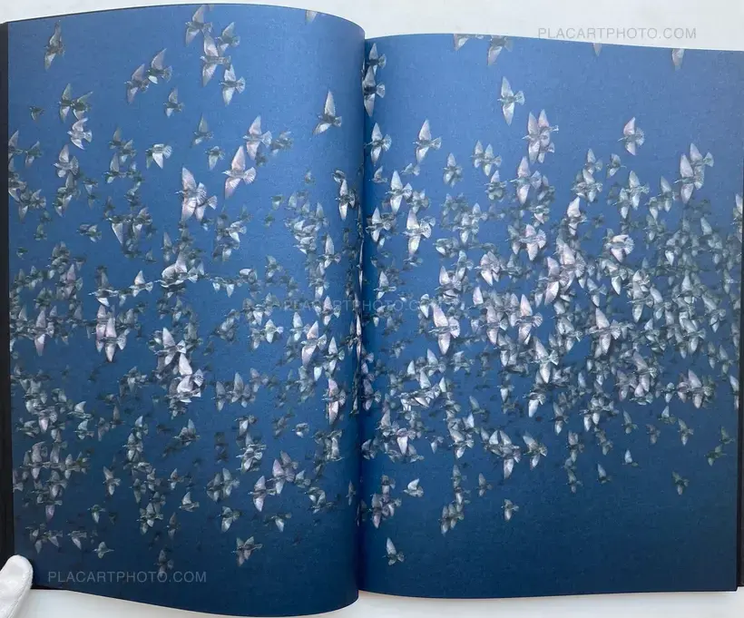 Rinko Kawauchi – HALO (SIGNED)