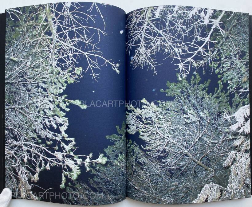 アート・デザイン・音楽 Rinko Kawauchi Halo Rinko Kawauchi: HALO (SIGNED), Éditions Xavier Barral , 2017