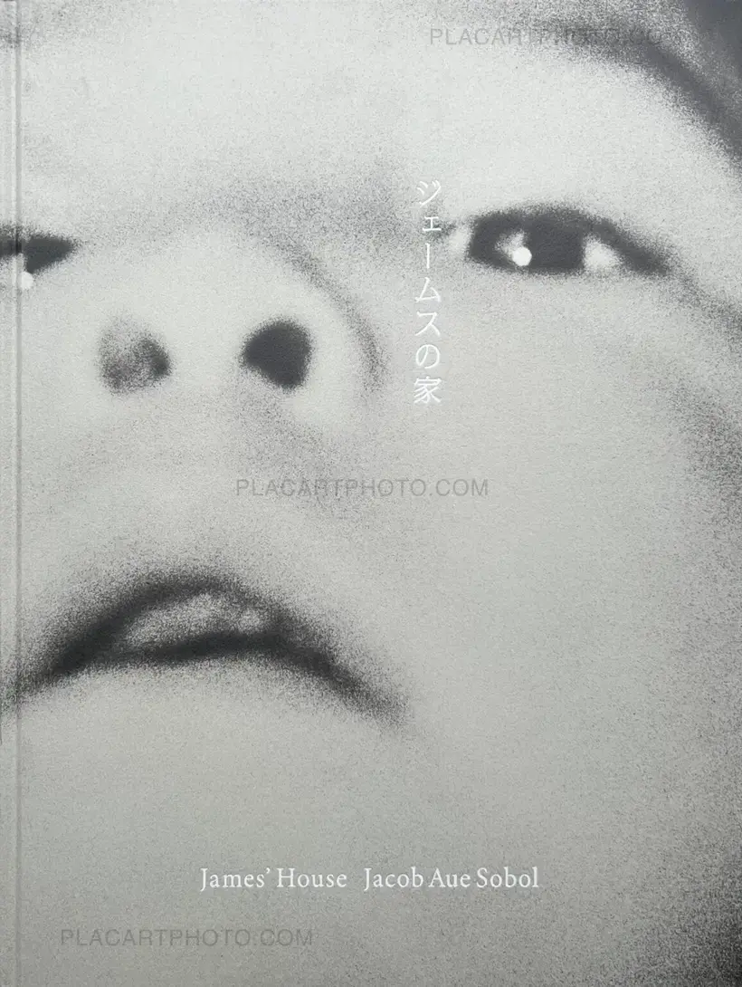 Jacob aue Sobol – James' House