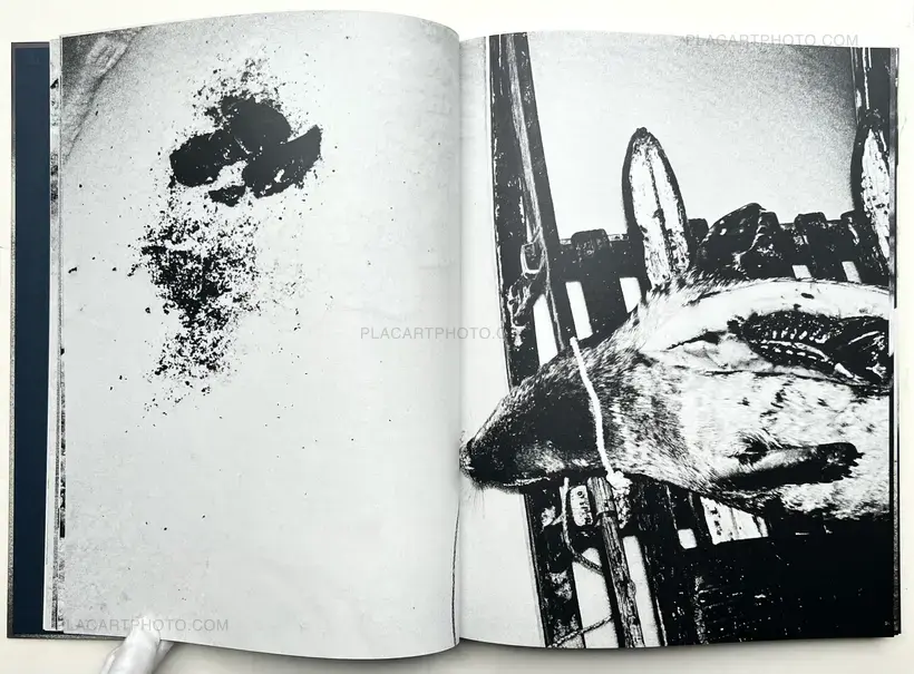 Jacob aue Sobol – James' House