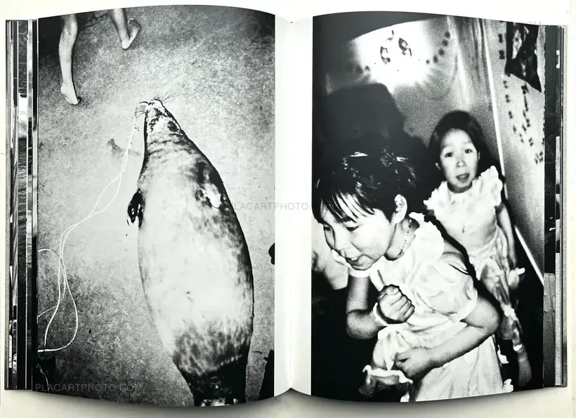 Jacob aue Sobol – James' House