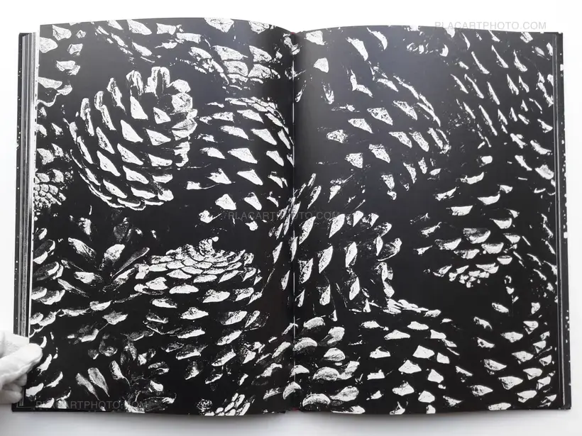Renato D'Agostin – TOKYO UNTITLED (SIGNED)