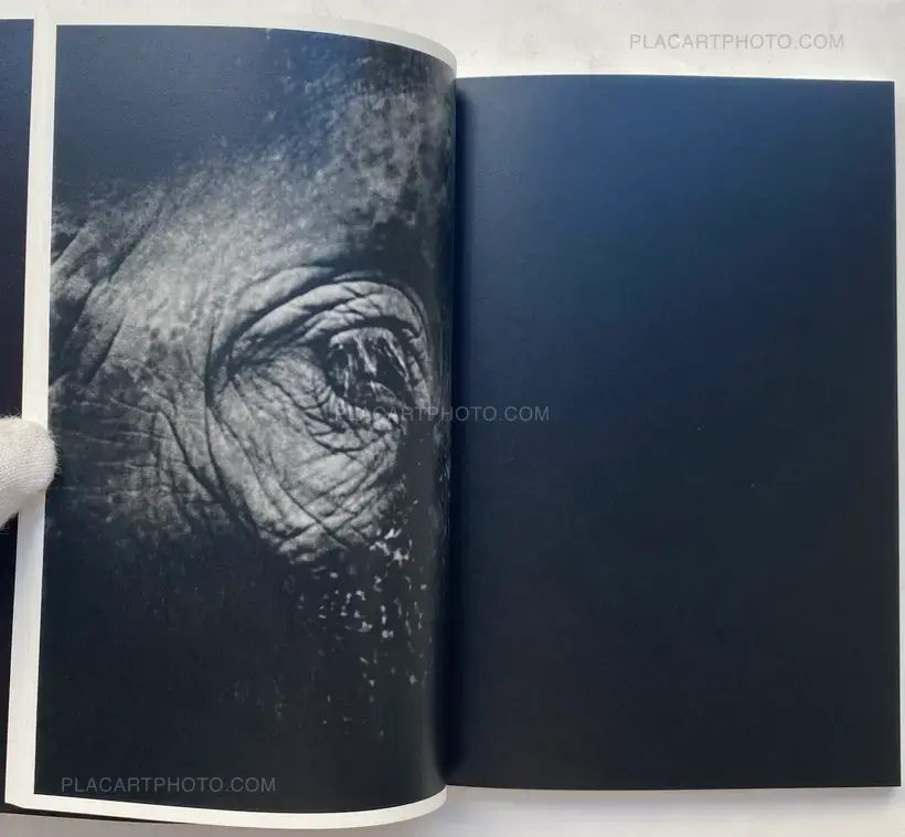 Kurama – Elephant (SIGNED AND NUMBERED)