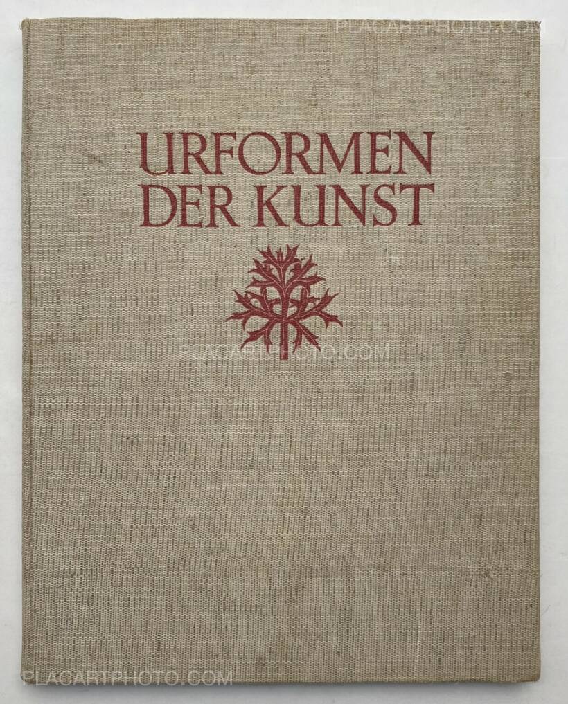 洋書 Kunsttransfer Und Formgenese 1400 - 1500 Karl Blossfeldt: Urformen der Kunst , Verlag Ernst Wasmuth, 1935