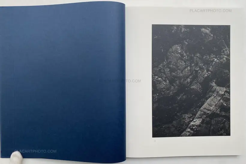 Dominic Turner – FALSE FRIENDS (SIGNED)