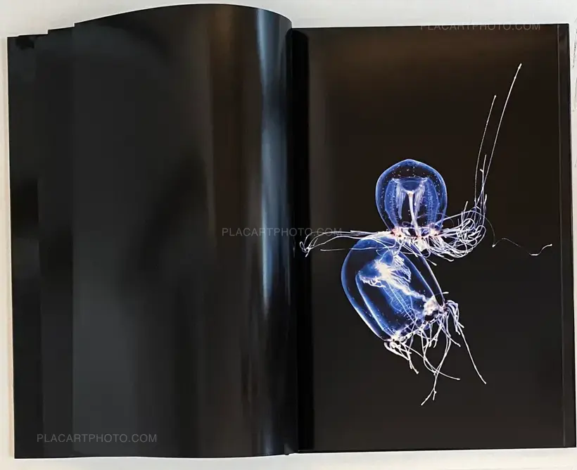 Guido Mocafico, MEDUSA, Steidl , 2006 | Le Plac'Art Photo