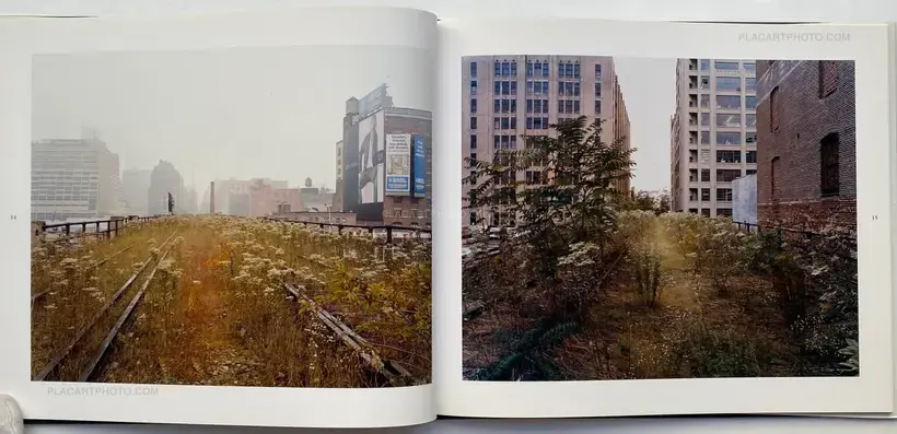 Joel Sternfeld – Walking the High Line