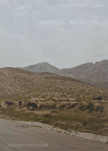 Liu Yuan ,Digital Building (numbered) 