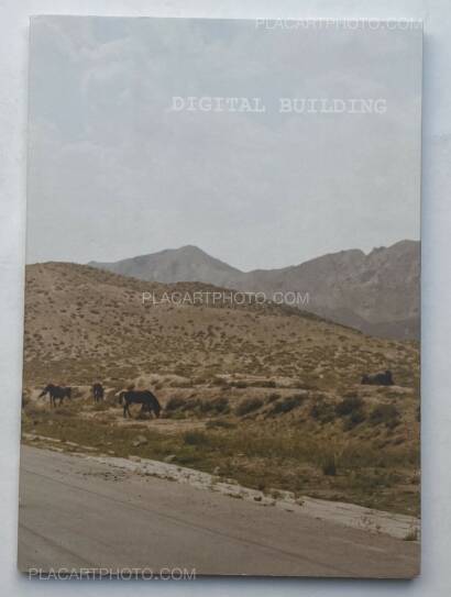 Liu Yuan ,Digital Building (numbered) 