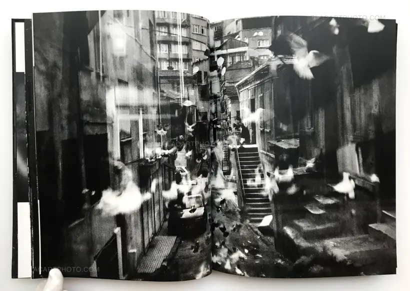 Yusuf Sevinçli – Good dog (SIGNED AND DEDICATED)