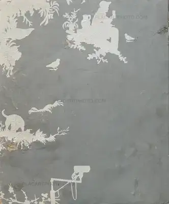 David O'Mara – Paper Walls (UNIQUE)