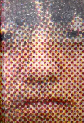 Hajime Kimura – Mišo Bukumirović (Only 91 copies)
