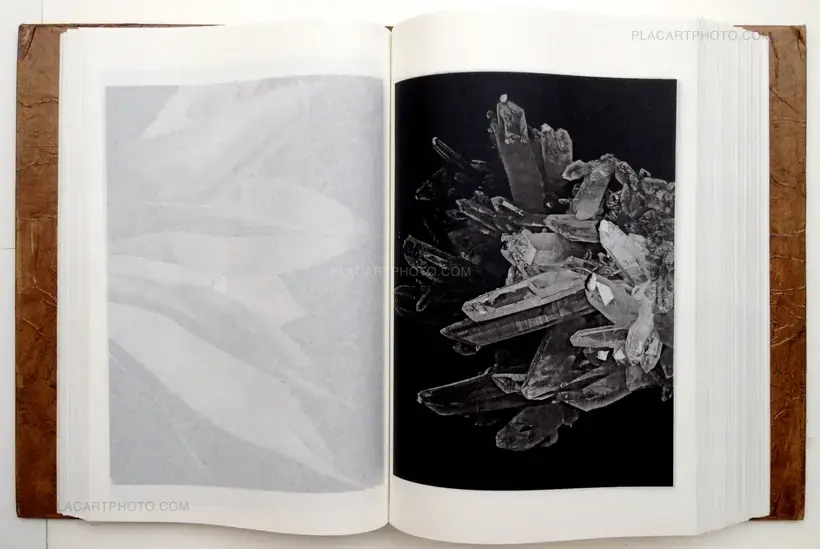 Toshitsugu Yamawaki – The Lost and find - 500 Visions (Signed)