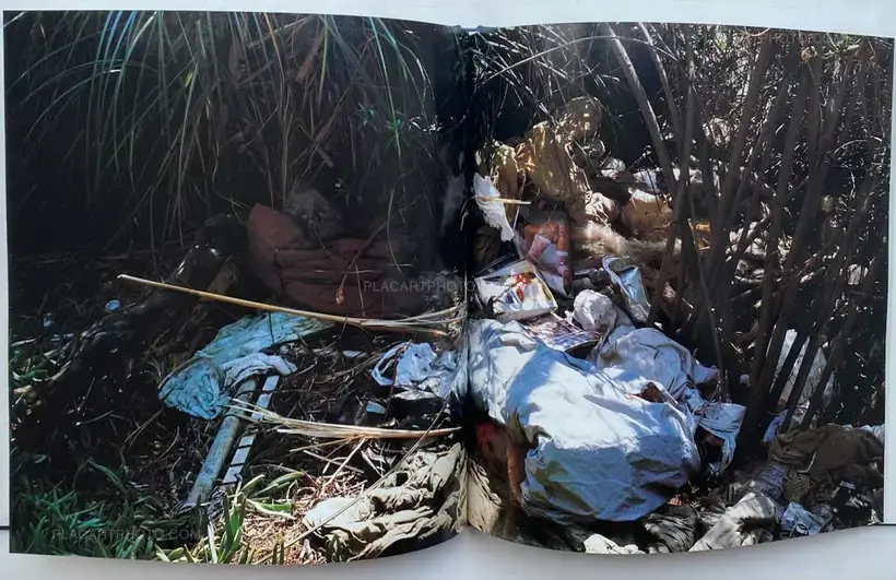 Anthony Hernandez – Sons of Adam: Landscape for the homeless II