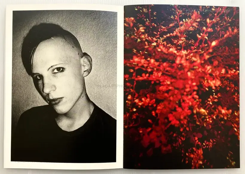 Nils Petter Löfstedt – Club 13 (SIGNED)