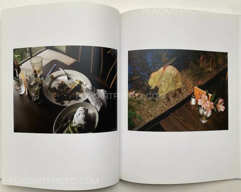40589/スティーブン ショア 写真集 Witness Number One Stephen Shore 40589/スティーブン ショア 写真集 Witness Number One Stephen Shore