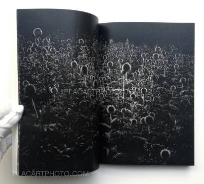 Thomas Vandenberghe,CAN’T PAY YOU TO DISAPPEAR (ONLY 200 COPIES)