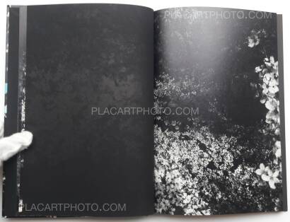 Daido Moriyama,Ango (SIGNED)