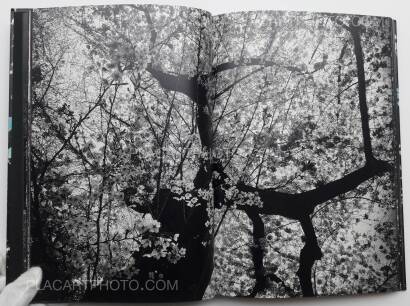 Daido Moriyama,Ango (SIGNED)