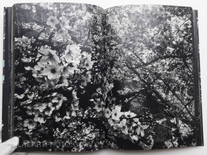 Daido Moriyama,Ango (SIGNED)
