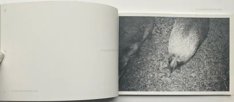 Calin Kruse – Marble (Edt of 40)