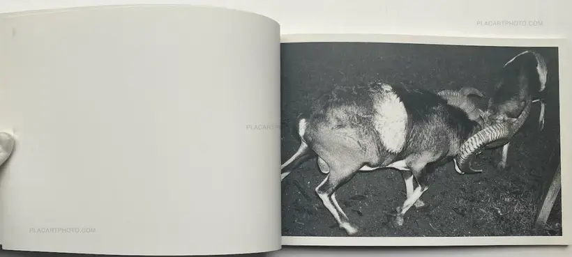 Calin Kruse – Marble (Edt of 40)