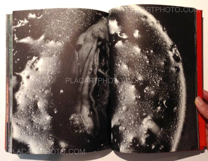 Nobuyoshi Araki: The Banquet (With obi), Magazine House, 1993