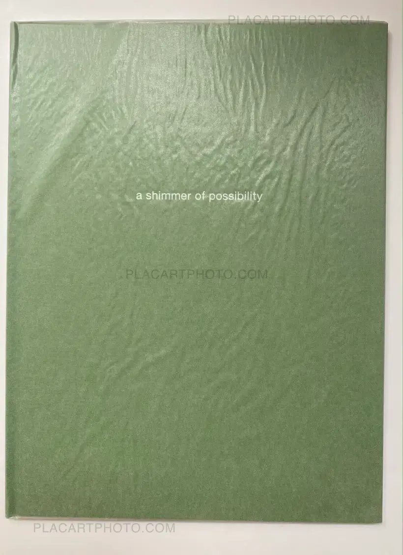 Paul Graham – A Shimmer of possibility (12 volumes SEALED COPIES)