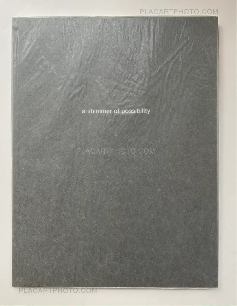Paul Graham – A Shimmer of possibility (12 volumes SEALED COPIES)