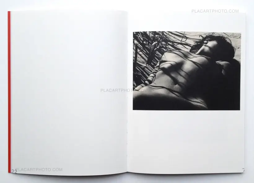 Collective – Nuogo Kūno teorija (The theory of a naked body)