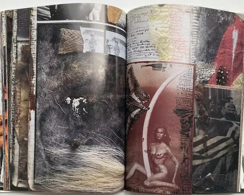 Peter Beard – Diary