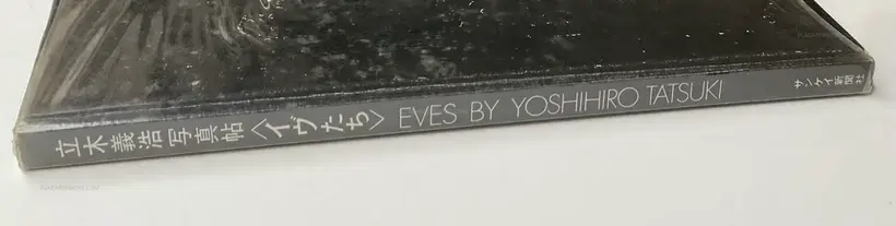 Yoshihiro Tatsuki – EVES