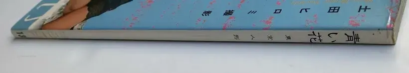Hiromi Tsuchida – Blue Flowers / Tokyo Dolls