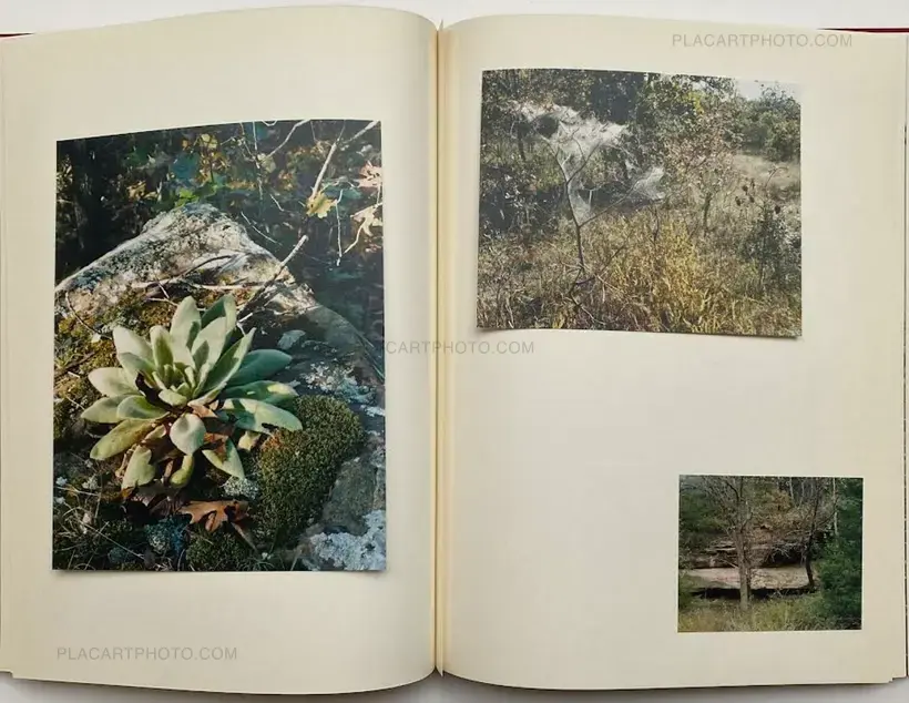 Cuny Janssen – My Grandma Was A Turtle