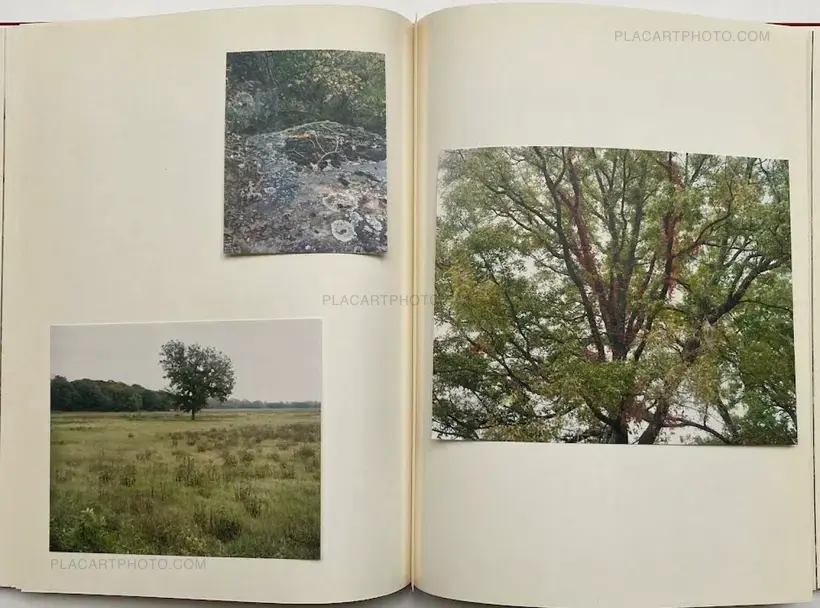 Cuny Janssen – My Grandma Was A Turtle