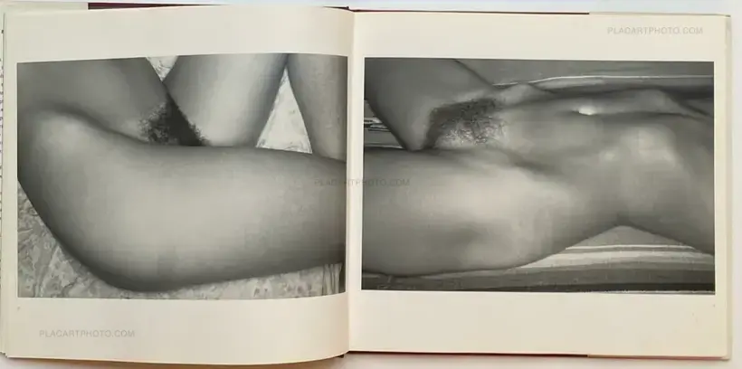 Lee Friedlander – Nudes