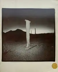 Richard Misrach, 1979, Grapestake Gallery, 1979 | Le Plac'Art Photo