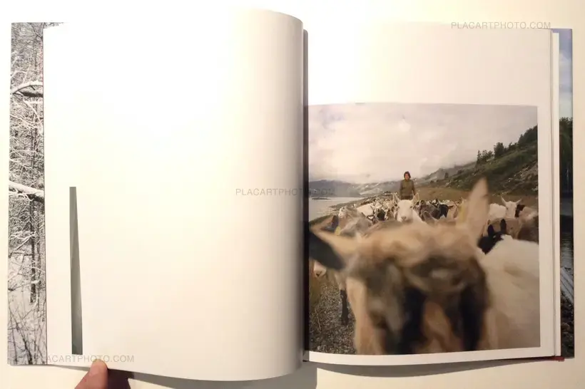 Nina Korhonen – Rewind the photographs (Signed)