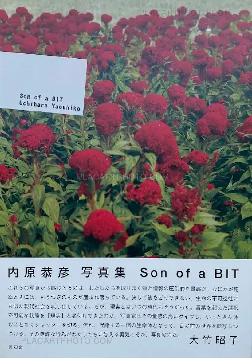 Yasuhiko Uchihara – Son of a BIT