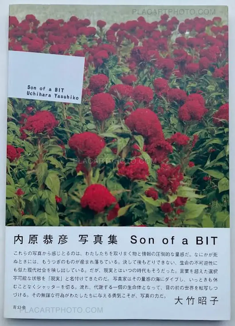 Yasuhiko Uchihara – Son of a BIT