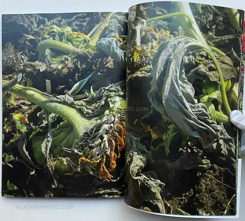 Yasuhiko Uchihara – Son of a BIT