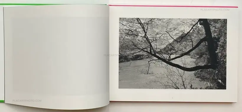Lee Friedlander – Cherry Blossom Time in Japan